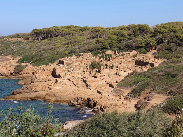 Vue des ruines romaines de Tipaza en bord de mer